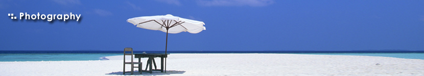 �B�e�֘A�T�[�r�X